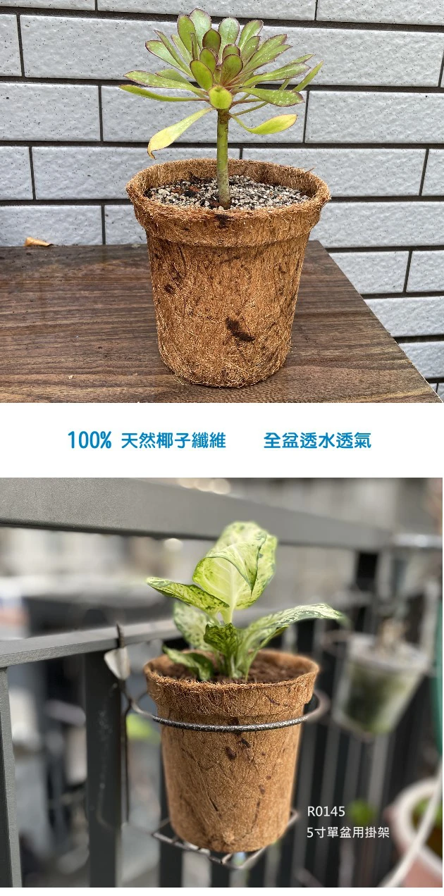 13.5cm環保椰纖花盆 商品圖片 3