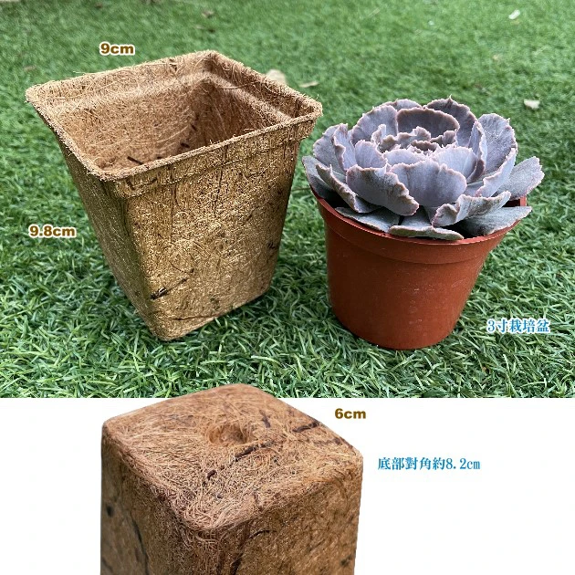 9cm方型環保椰纖花盆 方盆 商品圖片 2