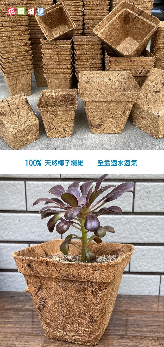15cm方型環保椰纖花盆 方盆 商品圖片 3