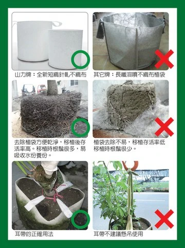 6寸美植袋(無拉耳)外徑約18cm 高18cm 商品圖片 3