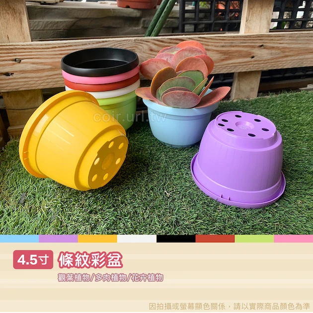 條紋4.5寸花盆-粉彩系列 商品圖片 2
