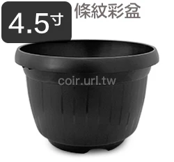 條紋4.5寸花盆-粉彩系列 商品圖片 5