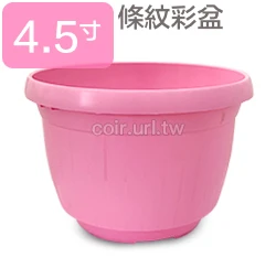 條紋4.5寸花盆-粉彩系列 商品圖片 9