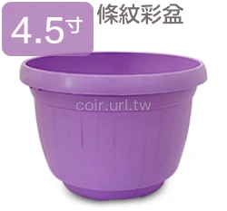 條紋4.5寸花盆-粉彩系列 商品圖片 10