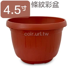 條紋4.5寸花盆-粉彩系列 商品圖片 11