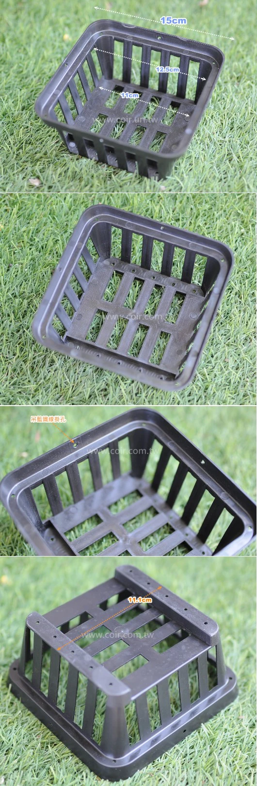 多用途淺網盆（小15cm）蕨類好盆 商品圖片 2