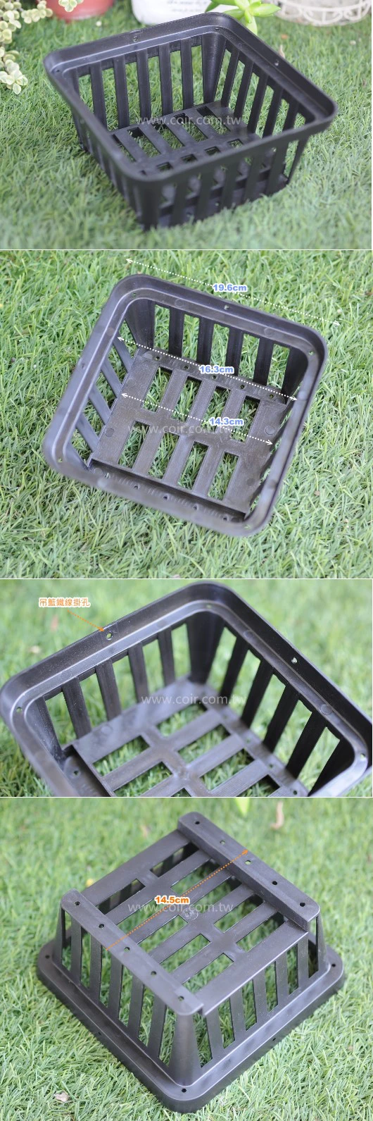 多用途淺網盆（大20cm）蕨類好盆 商品圖片 2