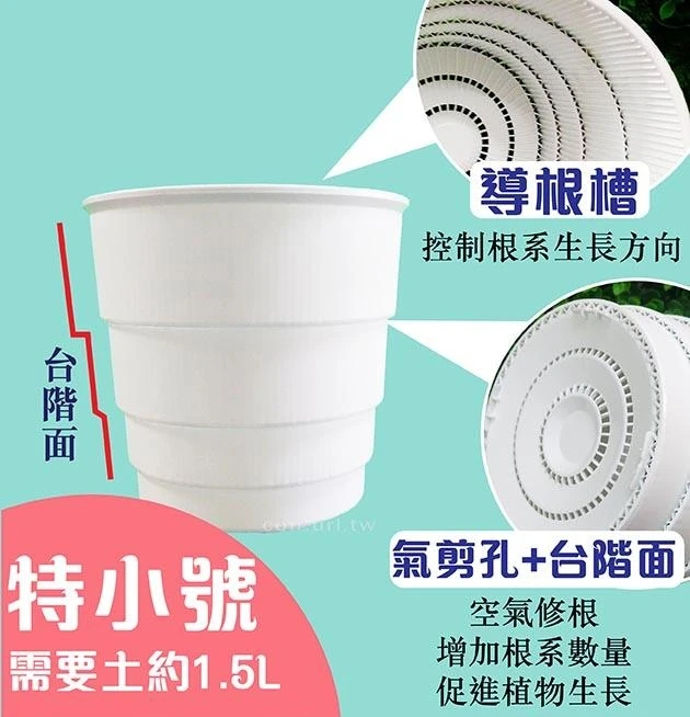 5寸(15cm)圓階控根盆.透氣花盆 商品圖片 2