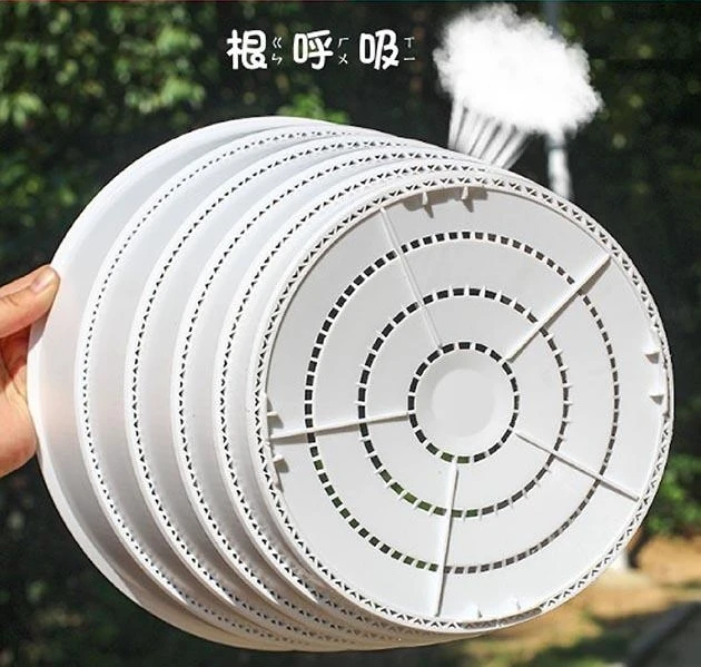5寸(15cm)圓階控根盆.透氣花盆 商品圖片 3