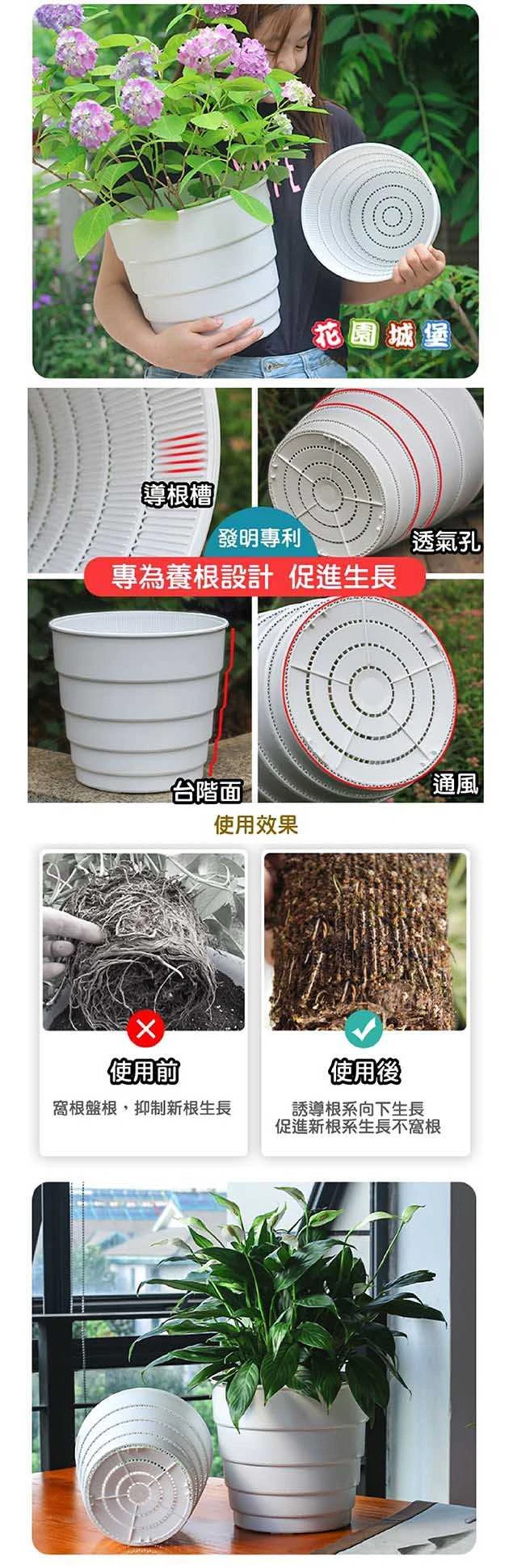 5寸(15cm)圓階控根盆.透氣花盆 商品圖片 5