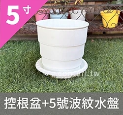 5寸(15cm)圓階控根盆.透氣花盆 商品圖片 6