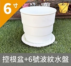 6寸(18cm)圓階控根盆.透氣花盆 商品圖片 5