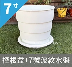 7寸(22cm)圓階控根盆.透氣花盆 商品圖片 5
