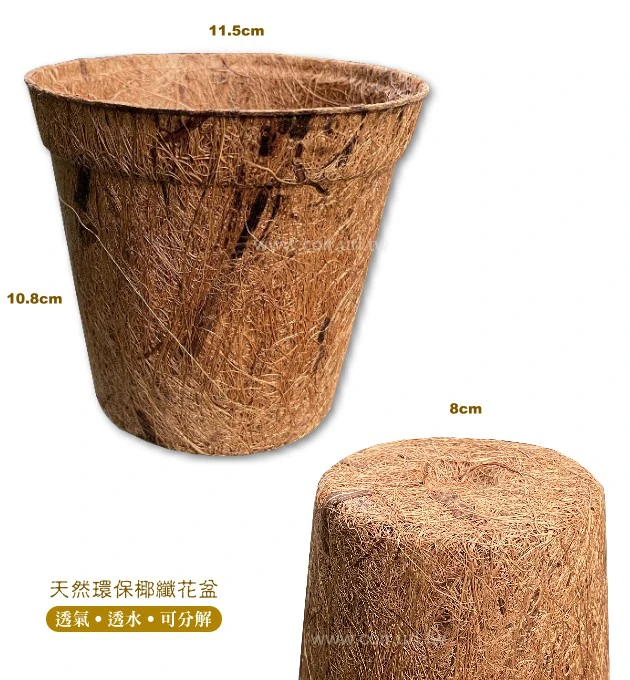 11.5cm環保椰纖花盆 商品圖片 2