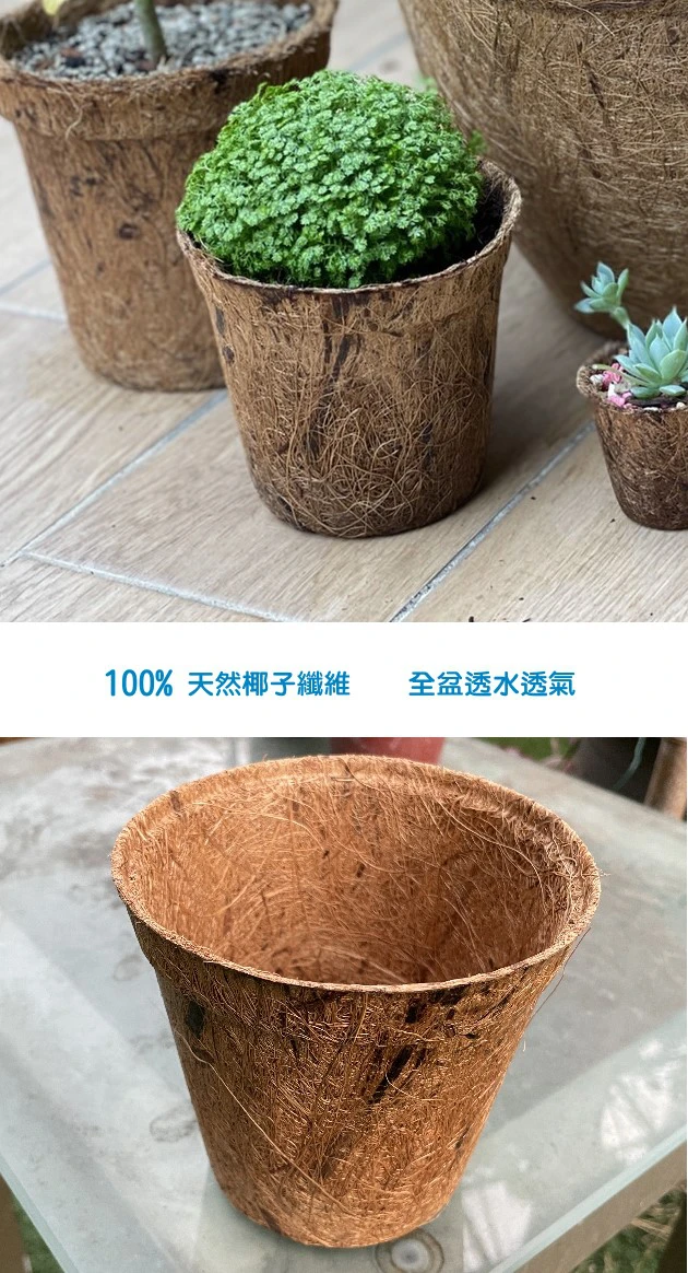 11.5cm環保椰纖花盆 商品圖片 3