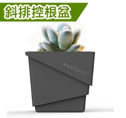 美蒔斜排控根盆7.8cm-單入 商品圖片 4