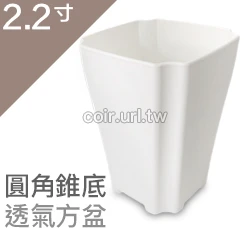 2.2寸圓角錐底透氣方盆 商品圖片 4