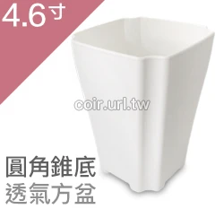 4.6寸圓角錐底透氣方盆 商品圖片 4