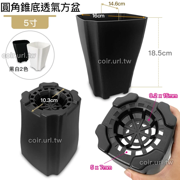 5寸圓角錐底透氣方盆 商品圖片 2