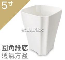 5寸圓角錐底透氣方盆 商品圖片 4
