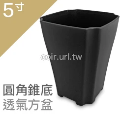 5寸圓角錐底透氣方盆 商品圖片 5