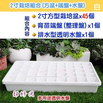 【超值組】整理端盤+透明水盤+2寸方盆x45 育苗栽培組合 商品圖片 2