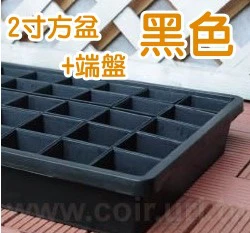 【超值組】整理端盤+透明水盤+2寸方盆x45 育苗栽培組合 商品圖片 6