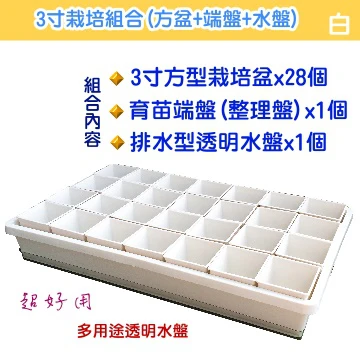【超值組】整理端盤+透明水盤+3寸方盆育苗栽培組合 商品圖片 2