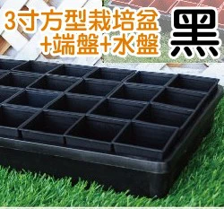 【超值組】整理端盤+透明水盤+3寸方盆育苗栽培組合 商品圖片 6