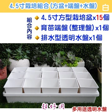 【超值組】整理端盤+透明水盤+4.5寸方盆育苗栽培組合 商品圖片 2