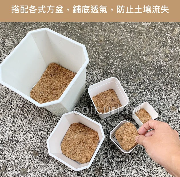 【超值組】整理端盤+白色3寸多肉堡加高透氣四方盆組合 商品圖片 5