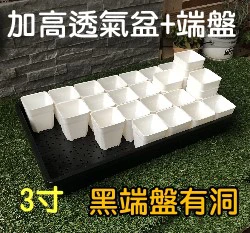 【超值組】整理端盤+白色3寸多肉堡加高透氣四方盆組合 商品圖片 6