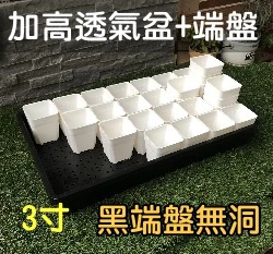 【超值組】整理端盤+白色3寸多肉堡加高透氣四方盆組合 商品圖片 7