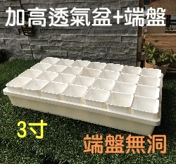 【超值組】整理端盤+白色3寸多肉堡加高透氣四方盆組合 商品圖片 8