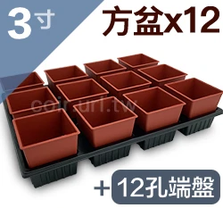 【超值組】12個x3寸方型栽培盆(厚)+專用整理端盤12格 商品圖片 3