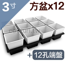 【超值組】12個x3寸方型栽培盆(厚)+專用整理端盤12格 商品圖片 5