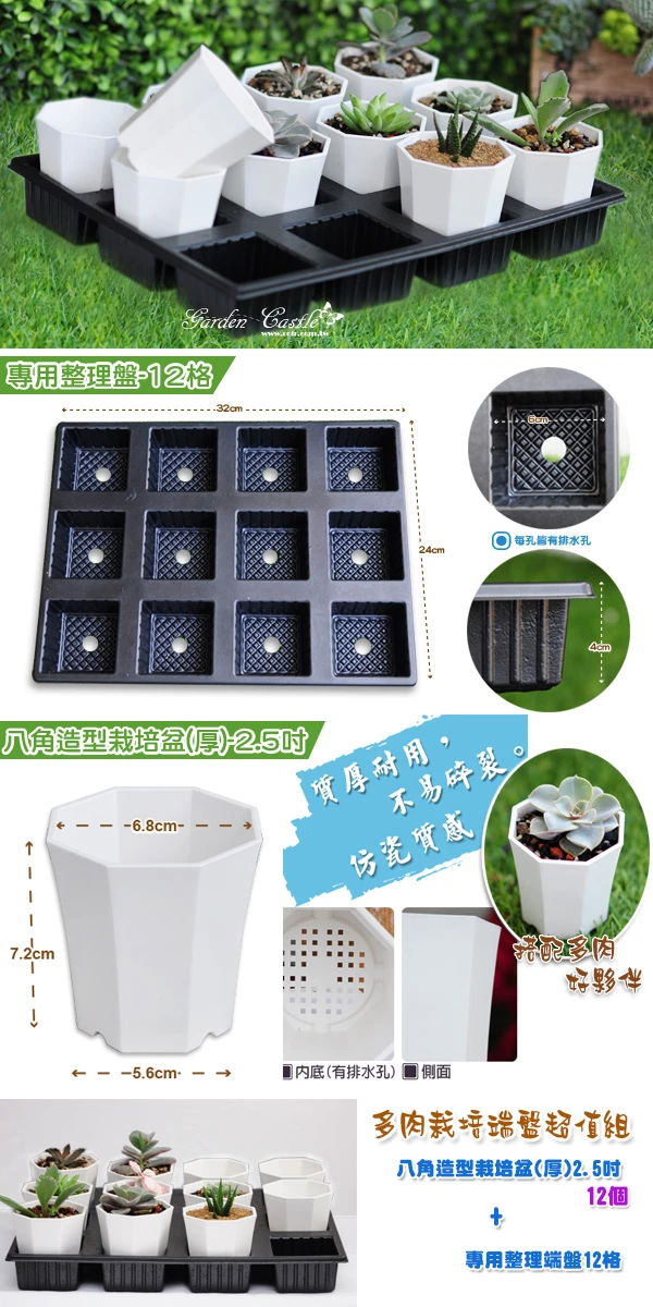 【超值組】八角造型栽培盆(厚)-2.5寸x12個+專用整理端盤12格 商品圖片 2