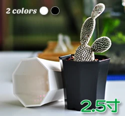 【超值組】八角造型栽培盆(厚)-2.5寸x12個+專用整理端盤12格 商品圖片 4
