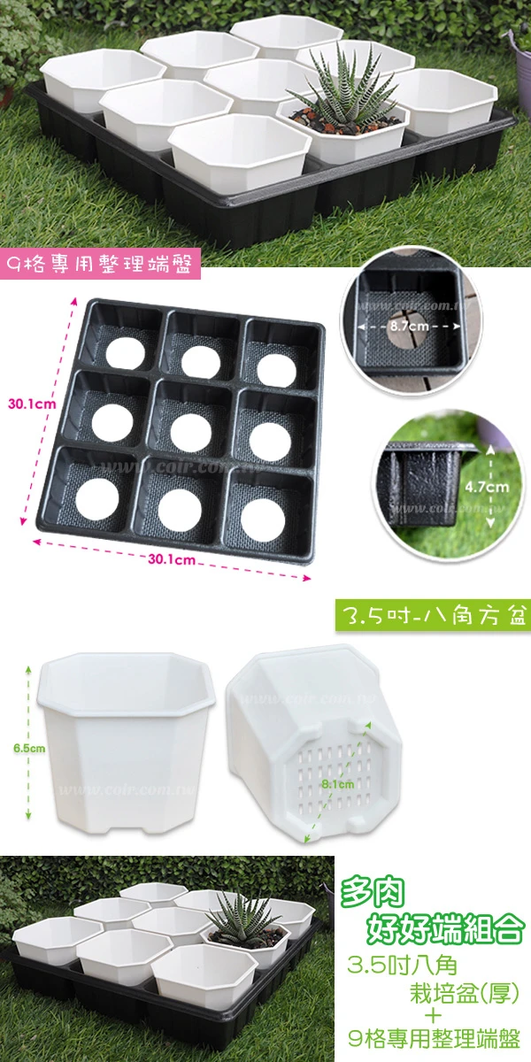 【超值組】9個x3.5寸八角方盆(厚)+專用整理端盤9格 商品圖片 2