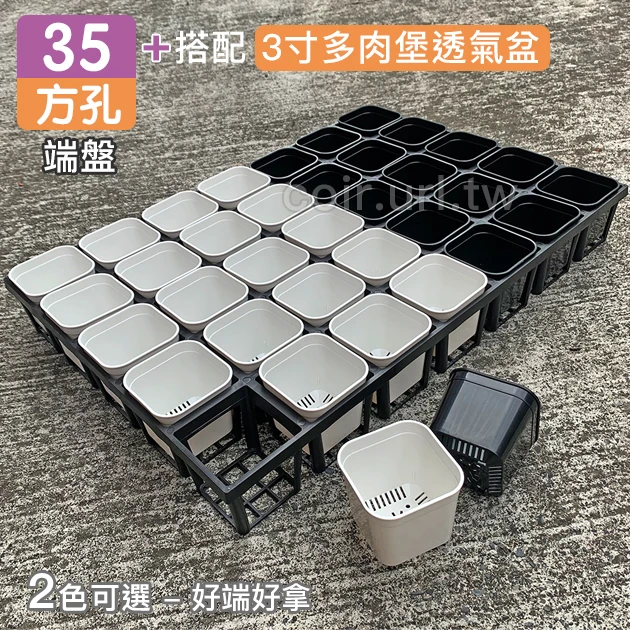 【超值組】35個x多肉堡透氣四方盆「3寸」＋35方孔端盤 商品圖片 2