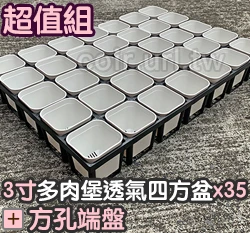 【超值組】35個x多肉堡透氣四方盆「3寸」＋35方孔端盤 商品圖片 3