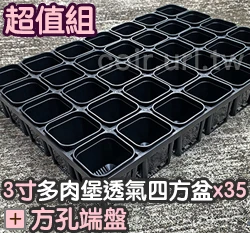 【超值組】35個x多肉堡透氣四方盆「3寸」＋35方孔端盤 商品圖片 4