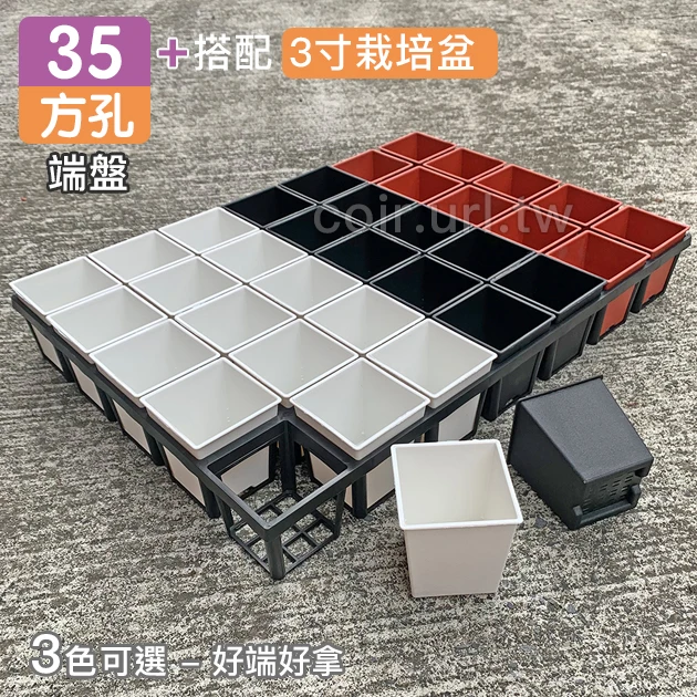 【超值組】35個x3寸方型栽培盆(厚)＋35方孔端盤 商品圖片 2