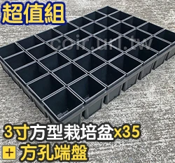 【超值組】35個x3寸方型栽培盆(厚)＋35方孔端盤 商品圖片 4
