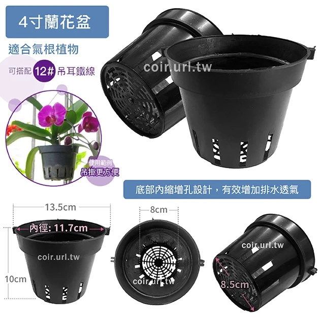 4寸蘭花盆(透氣黑吊耳盆)洋蘭盆 商品圖片 2