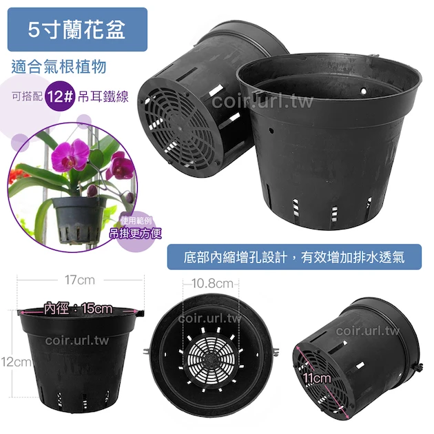 5寸蘭花盆(透氣黑吊耳盆)洋蘭盆 商品圖片 2