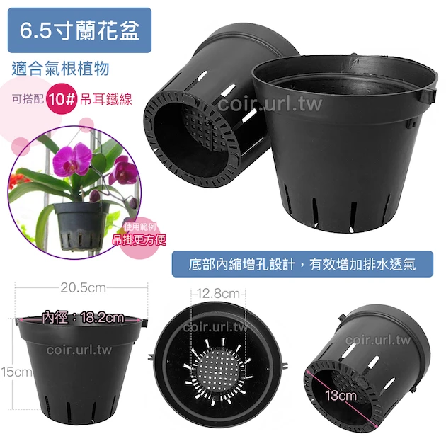 6.5寸蘭花盆(黑吊耳盆) 商品圖片 2