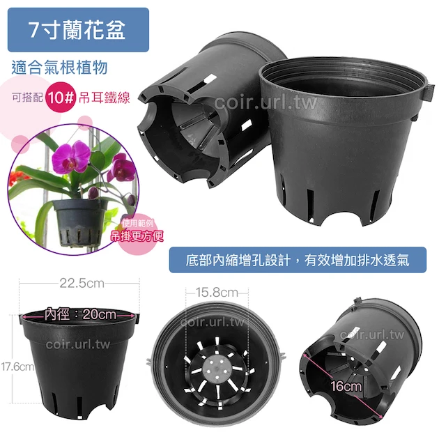 7寸蘭花盆(黑吊耳盆) 商品圖片 2