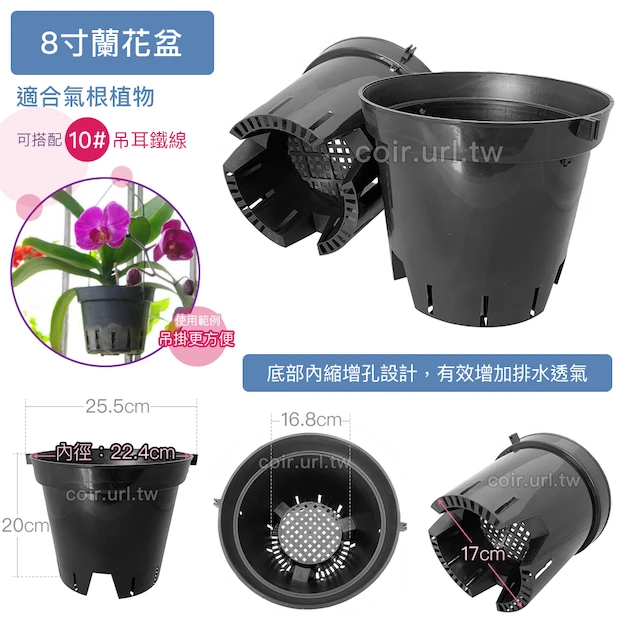 8寸蘭花盆(黑吊耳盆) 商品圖片 2