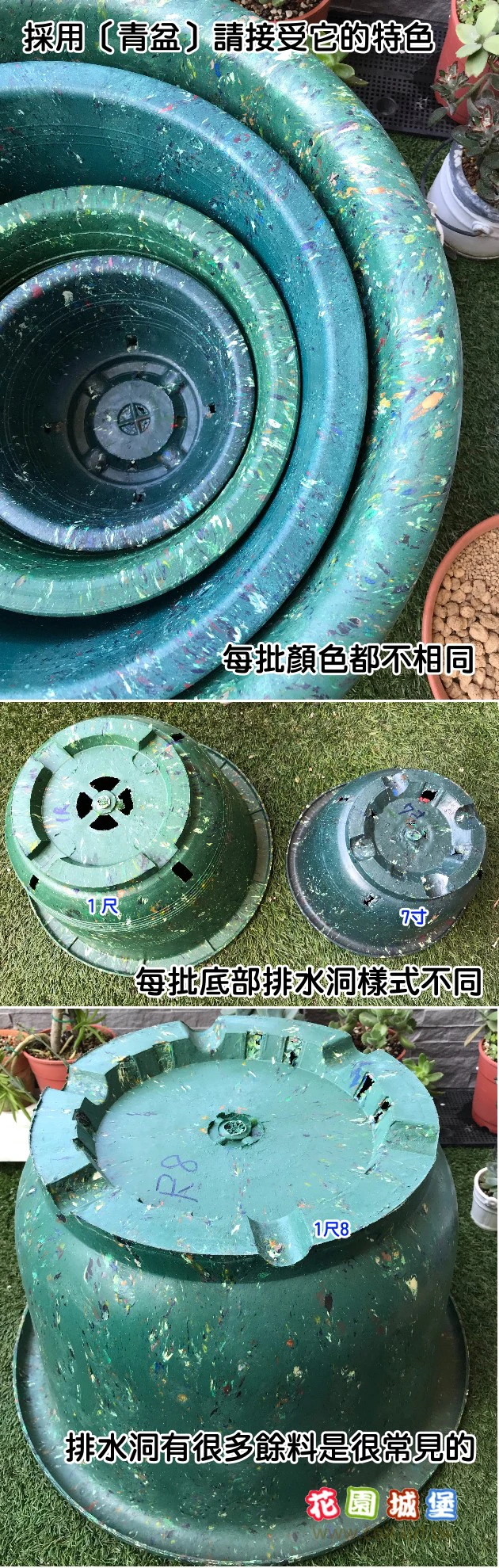 尺1青盆(33cm) 商品圖片 3